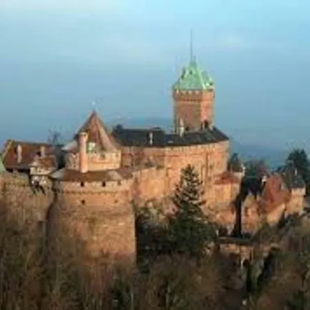 Nid Douillet A Obernai